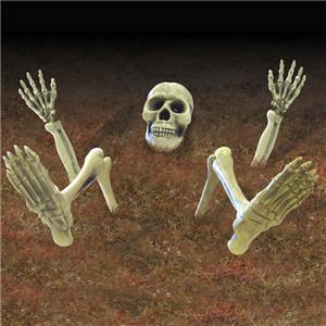 3D Skeleton Groundbreaker