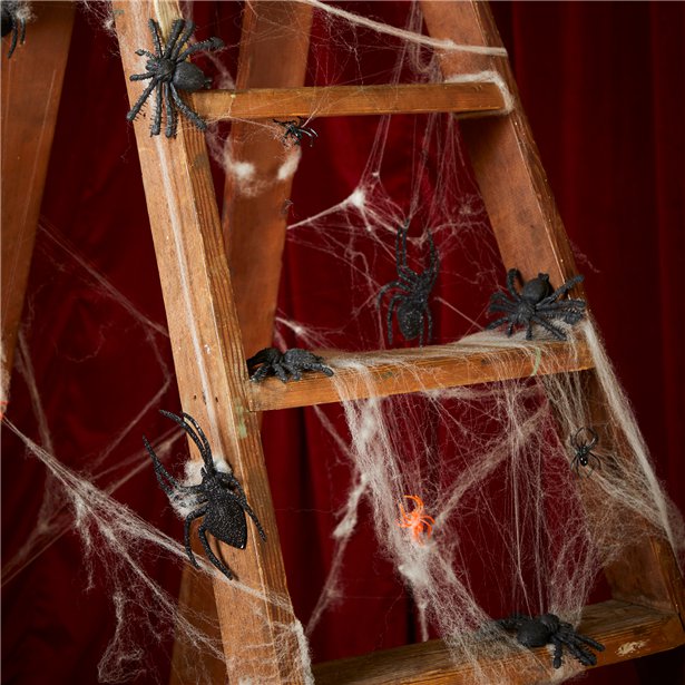 Spiders (12.5cm)
