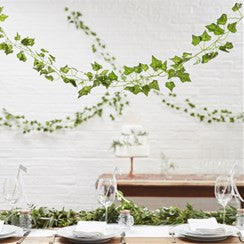 Beautiful Botanics Decorative Vines - 2m